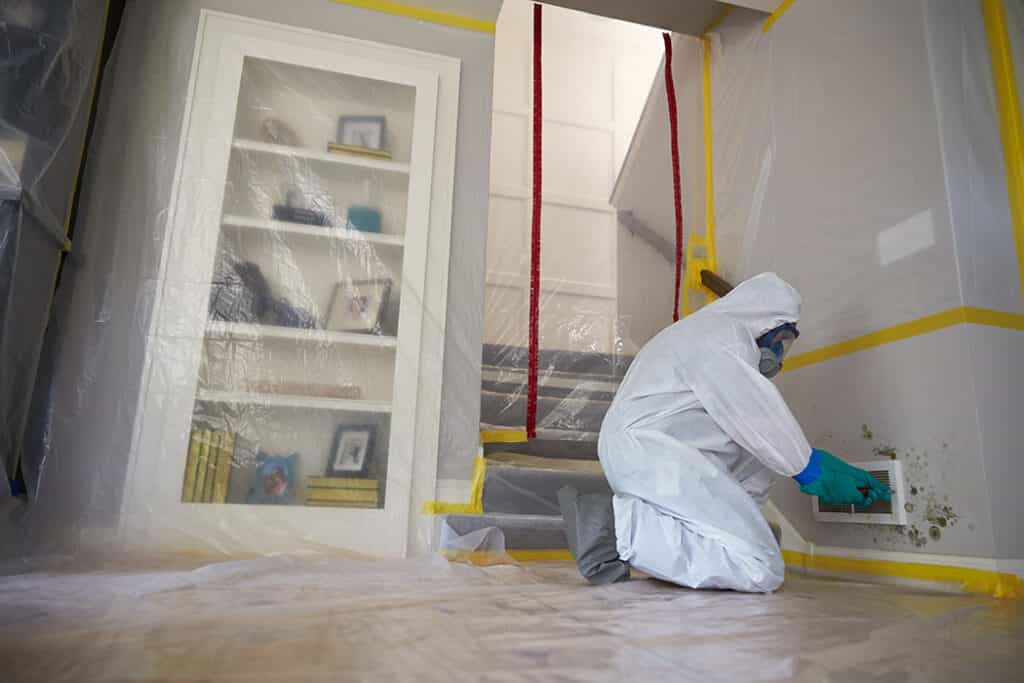 Mold Remediation Image Banner 1024x683
