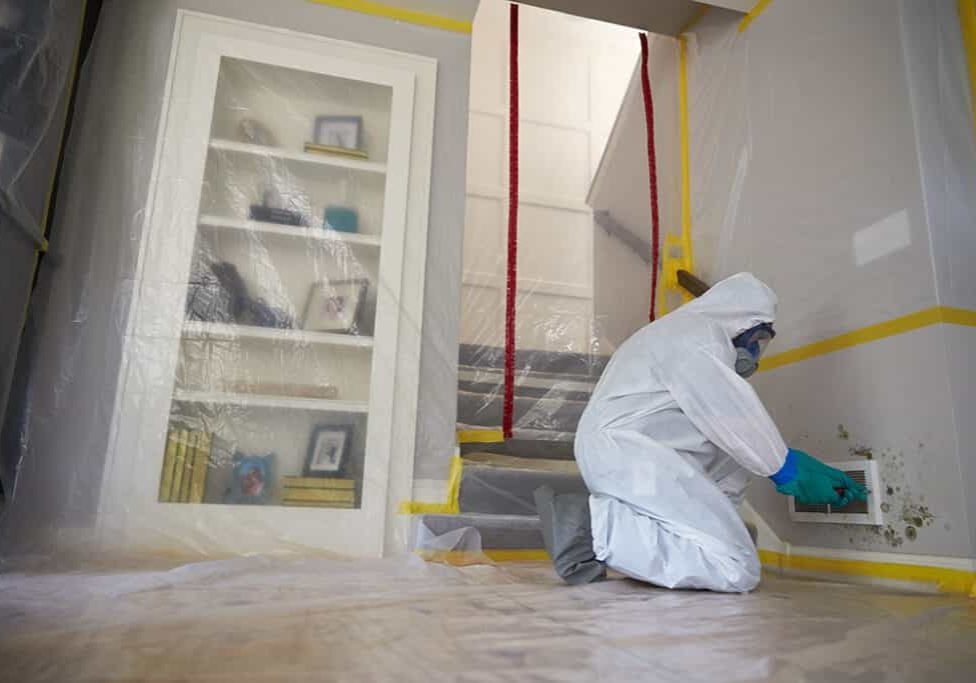 Mold Remediation Image Banner 1024x683